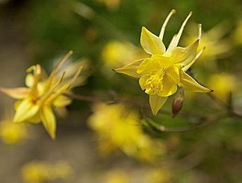 《浮岛防线》6月登陆Steam 回合制塔防新游